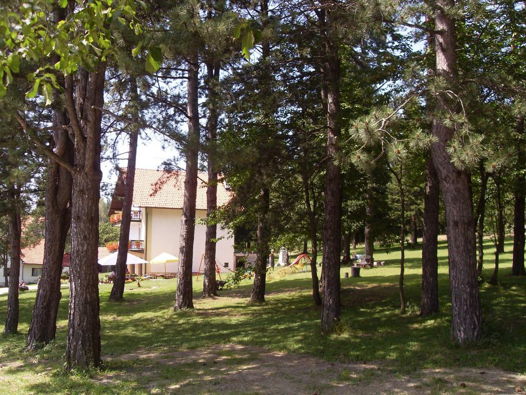 Guest House Colovic Zlatibor Esterno foto